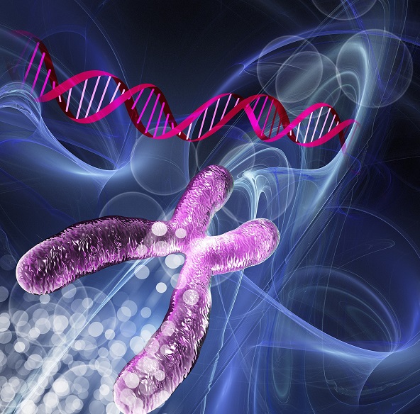 荧光标记抗体 荧光标记抗体