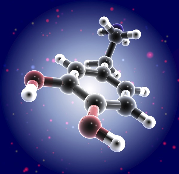多肽合成 多肽合成