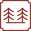 Asset 1 (1).png